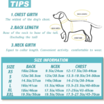 Breathable Mesh Dog Shirt - Summer Cooling Vest for Small Medium & Large Dogs - Image 5